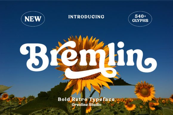 Bring Retro Energy to Your Designs with Bremlin