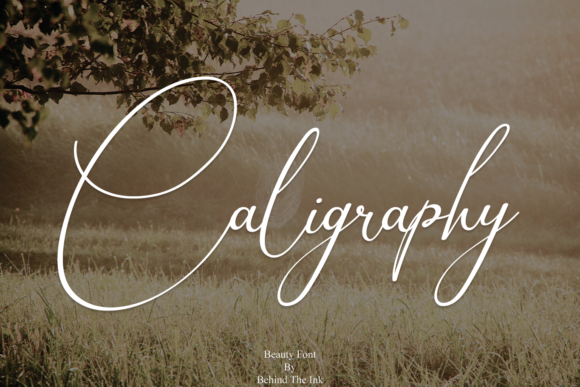 Caligraphy: A Romantic Script for Creative Designs